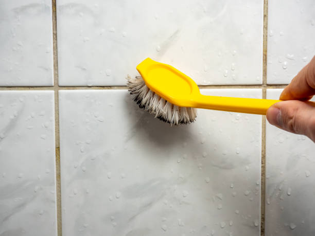 Meadowlakes, TX Mold Remediation Company