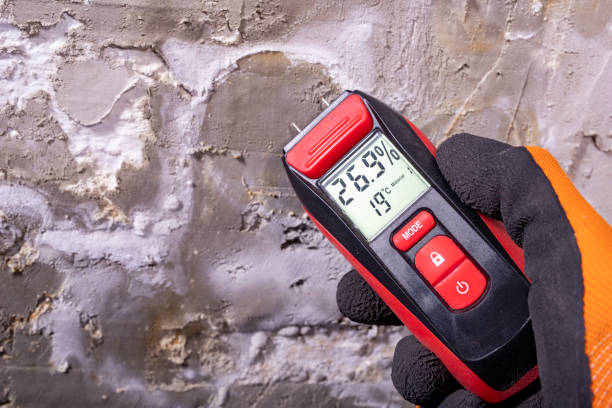 Best Kitchen Mold Remediation in Meadowlakes, TX