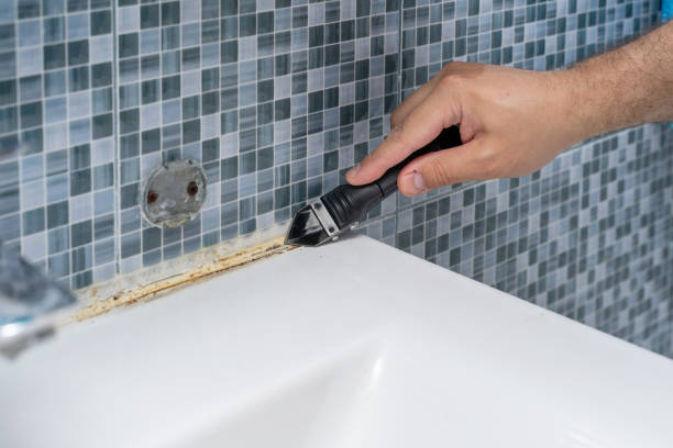 Best Localized Mold Remediation (e.g., coastal areas, humid climates) in Meadowlakes, TX