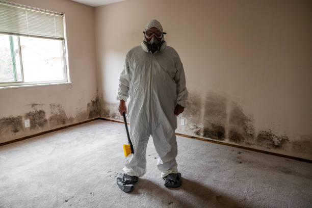 Best Industrial Mold Remediation in Meadowlakes, TX